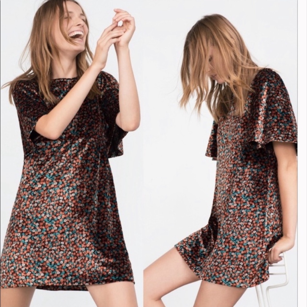 Zara Floral Velvet Dress